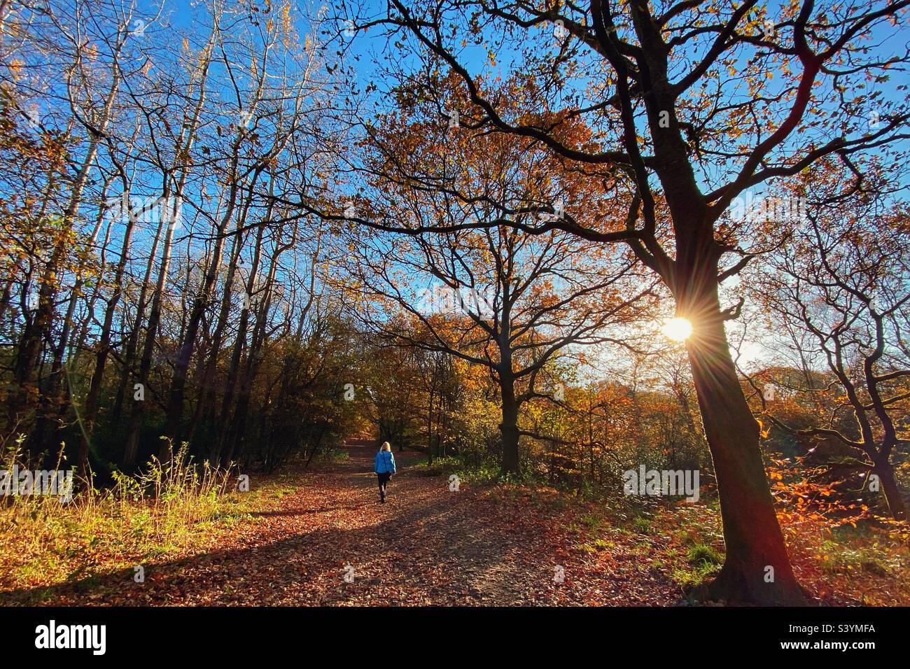 Woman walking in Rivington near Chorley on a sunny autumn morning Stock Photo