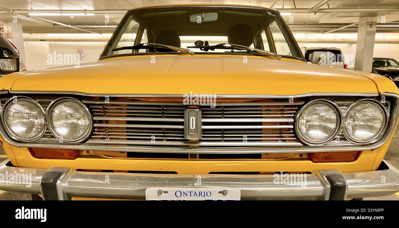 The front grill of a vintage yellow Datsun 510. Stock Photo