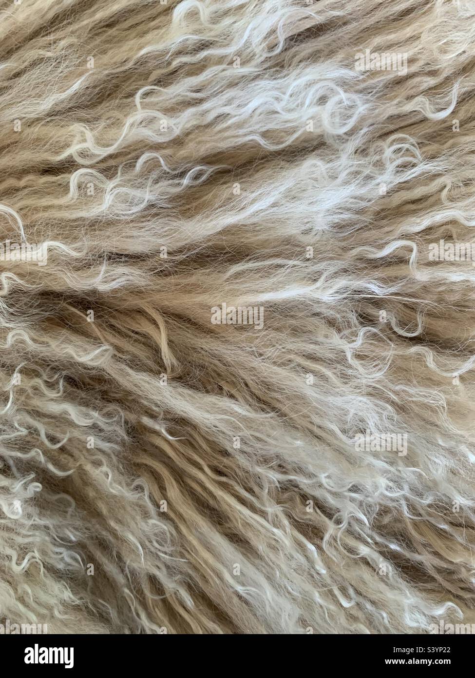 Close up image of a fluffy beige cushion - Smartphone Captured Stock Image