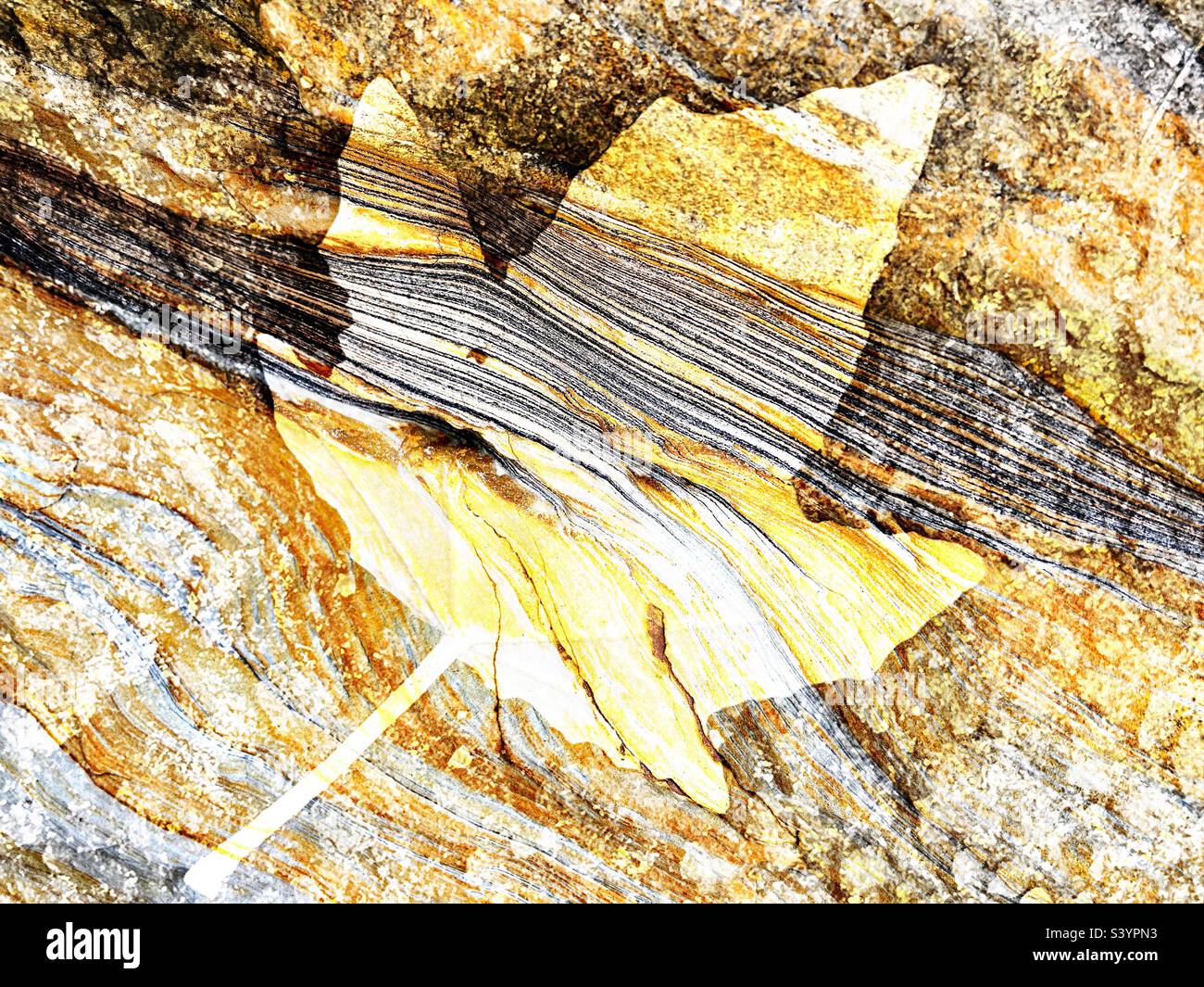 Double exposure on the theme of veins - Smartphone Captured Stock Image