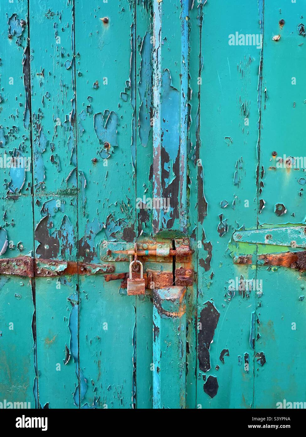 Rusty old padlock on a teal blue door with flaking paint. Stock Photo