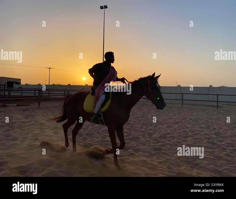 Horse riding in Jeddah, Saudi Arabia at sunset Stock Photo - Alamy