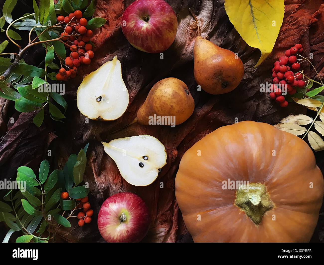 Autumn fruits and vegetables Stock Photo - Alamy