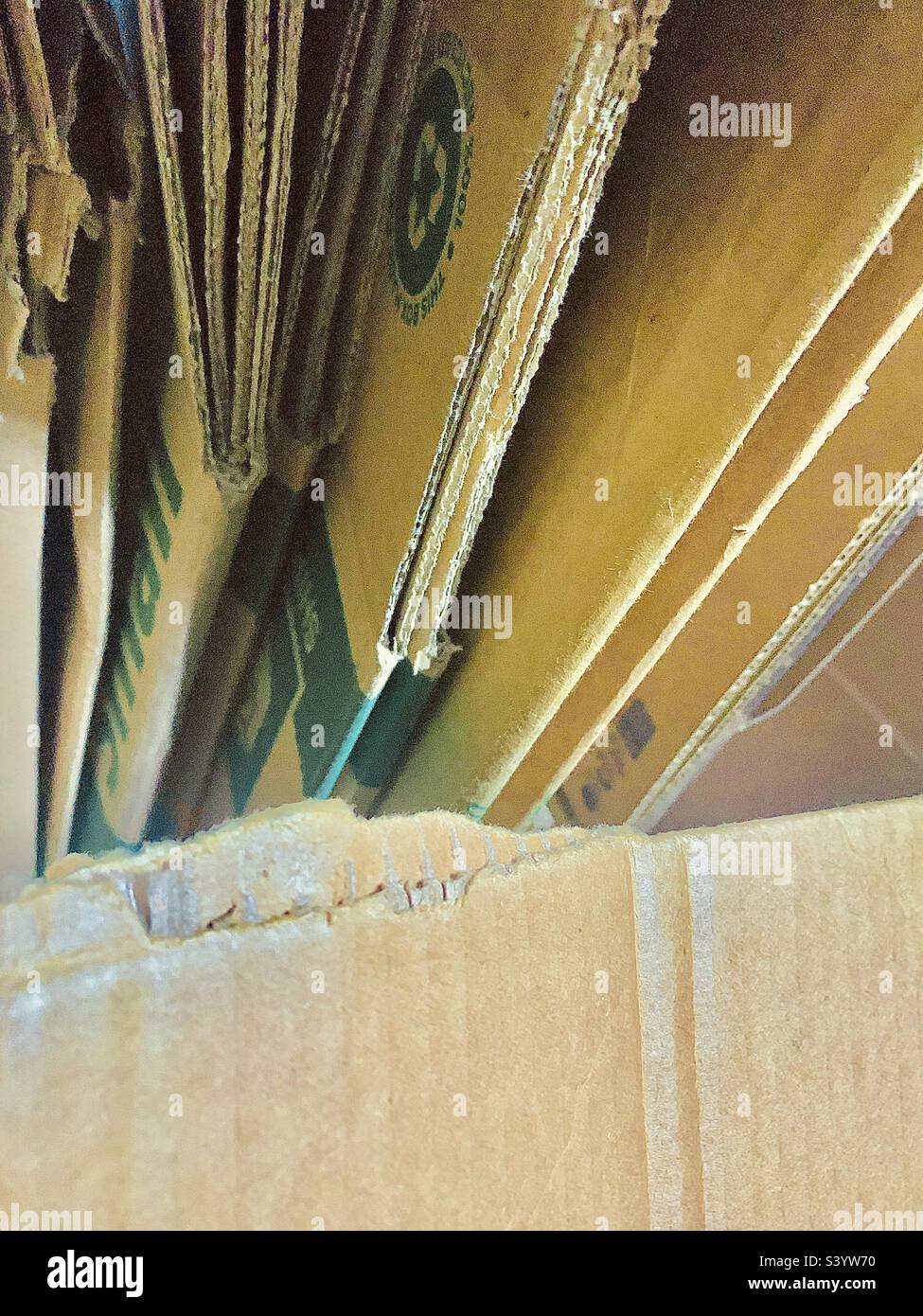 Broken down cardboard boxes inside of large cardboard box Stock Photo