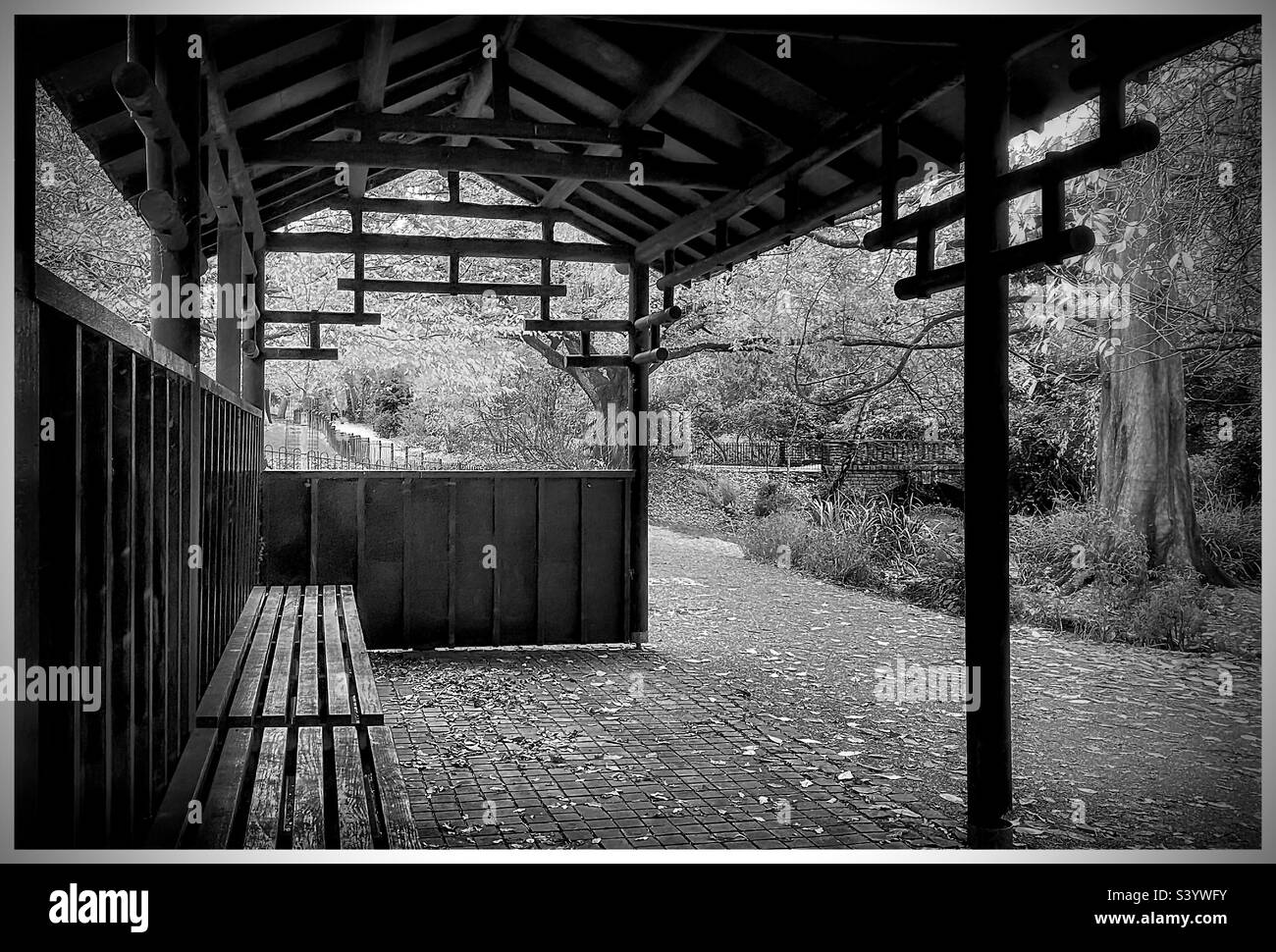 Japanese garden in Peckham rye park. - Smartphone Captured Stock Image