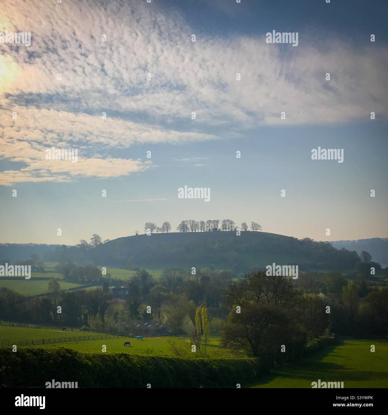 Cotswolds escarpment landscape near Uley in spring sunshine. A mobile phone photo with some phone or tablet post processing. - Smartphone Captured Stock Image