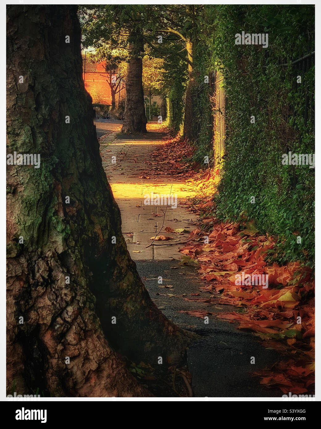 London in Autumn. - Smartphone Captured Stock Image