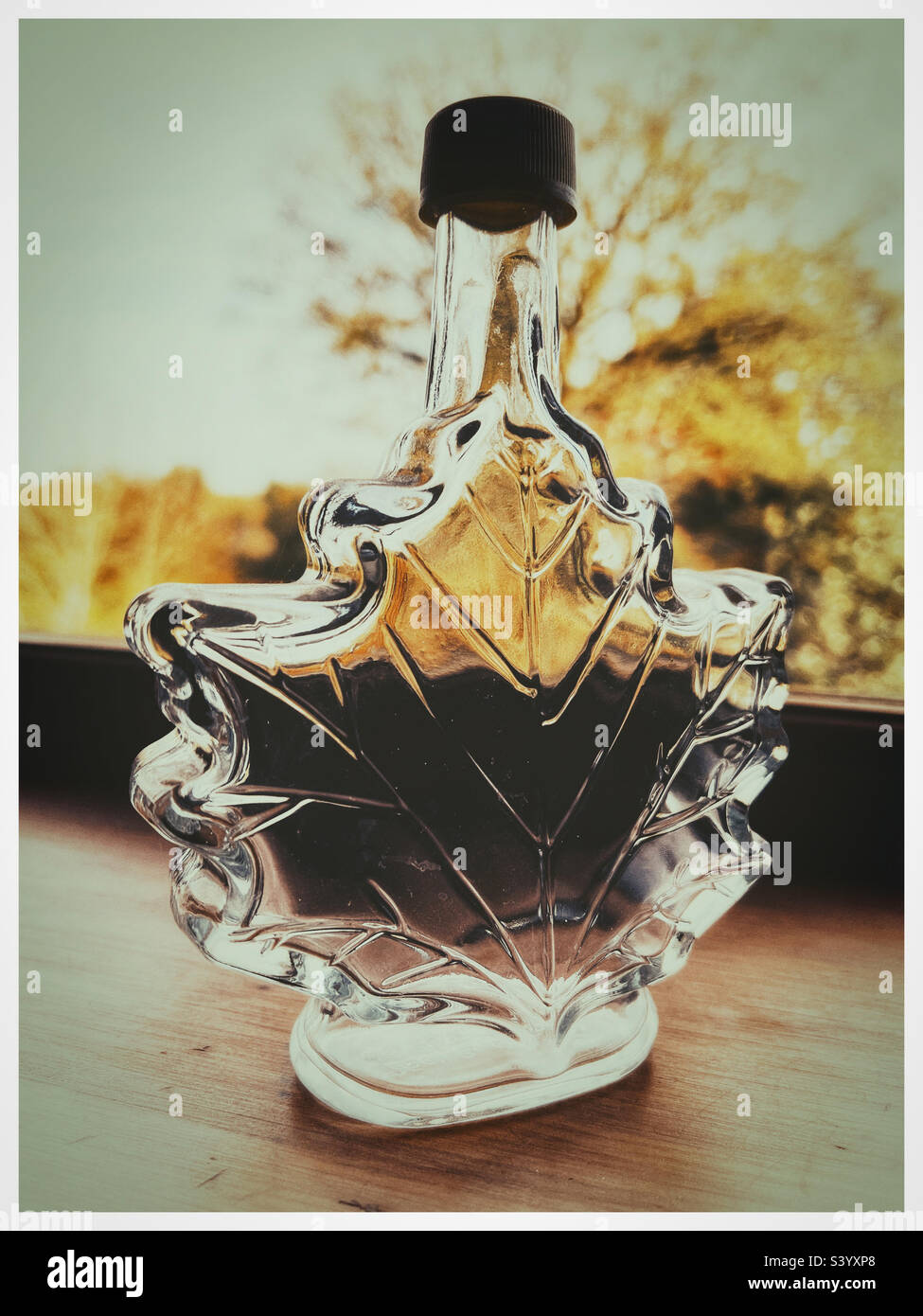 An empty Canadian maple syrup bottle Stock Photo Alamy