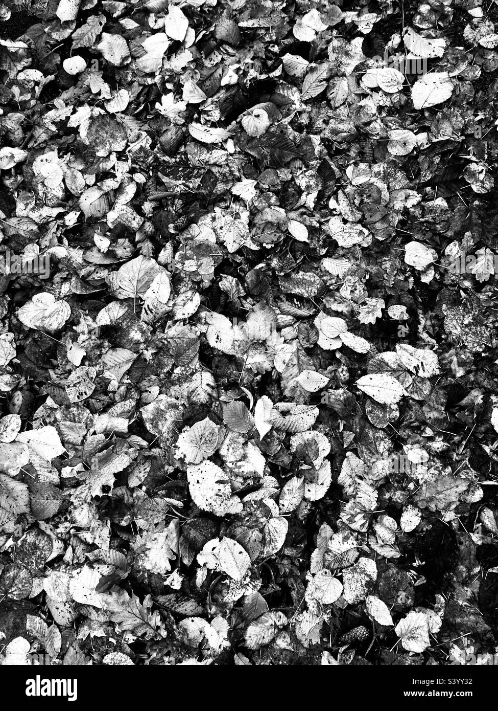 Black and white world hi-res stock photography and images - Alamy