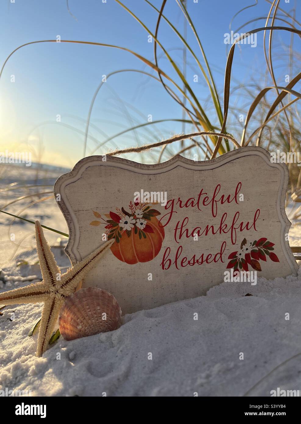 Thanksgiving concept of thankful plaque on white sand beach - Smartphone Captured Stock Image