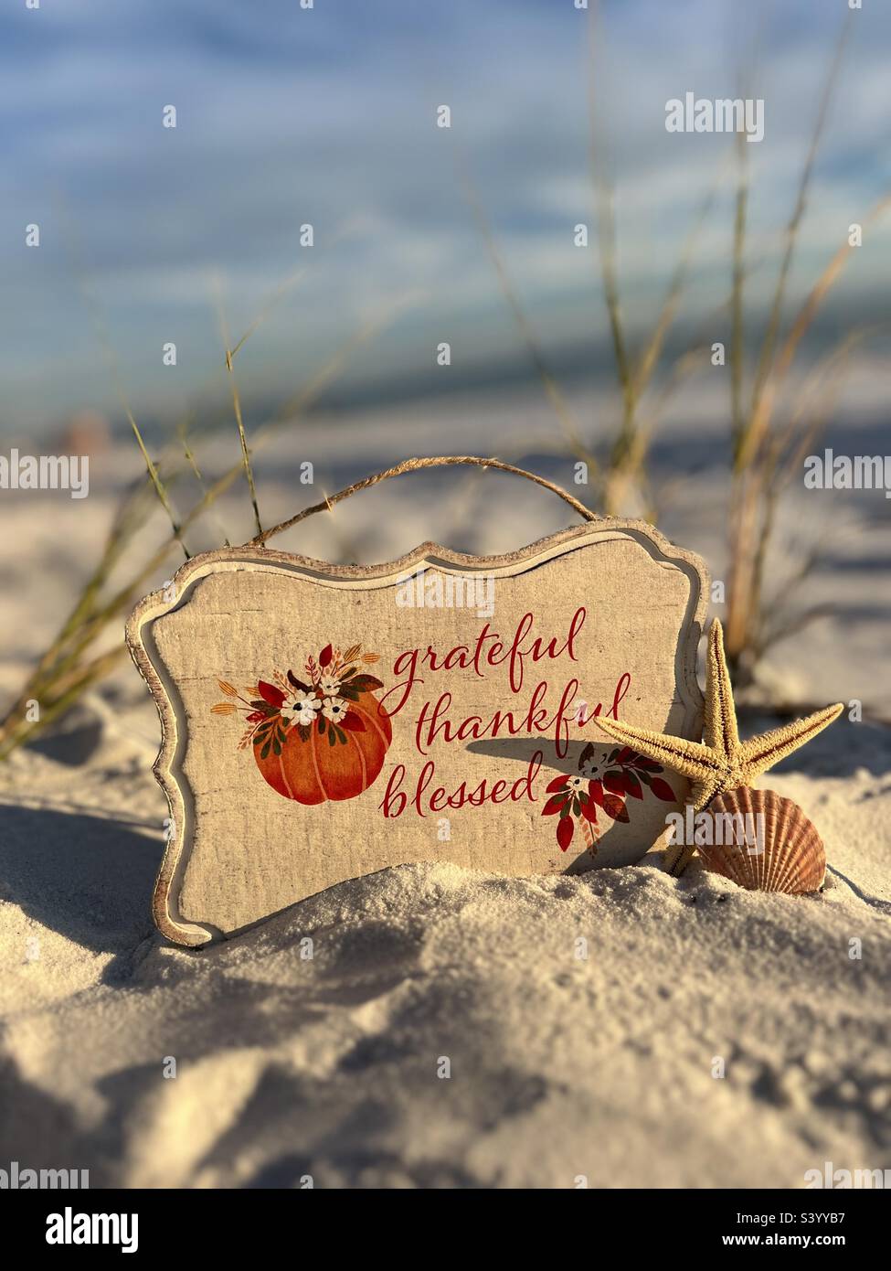 Thanksgiving concept on beach sand with ocean background - Smartphone Captured Stock Image