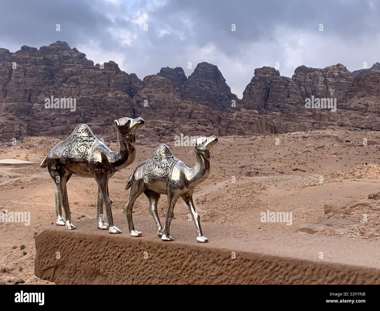 Silver camels with mountains in the background Stock Photo