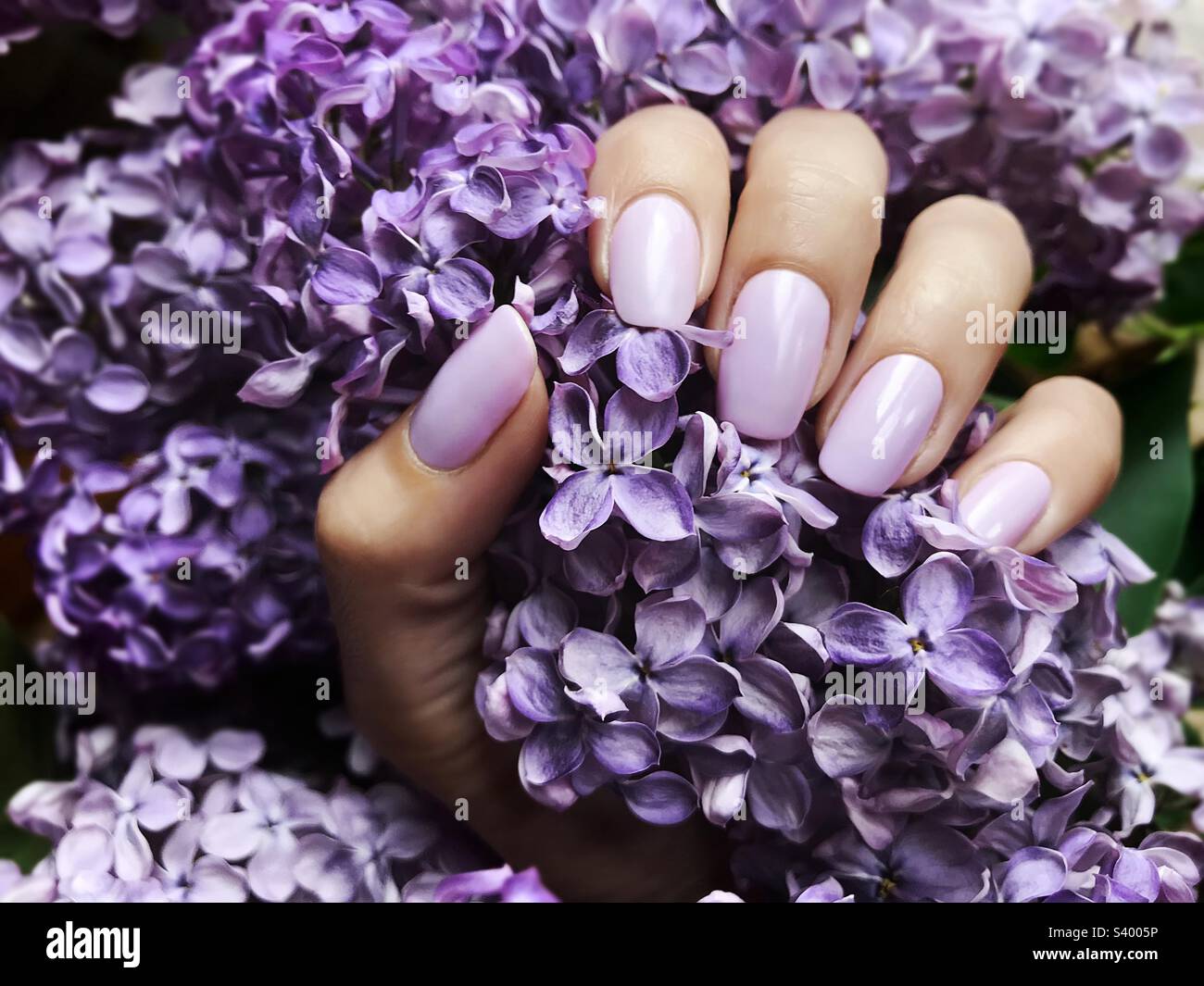 Purple lilac manicure hi-res stock photography and images - Alamy