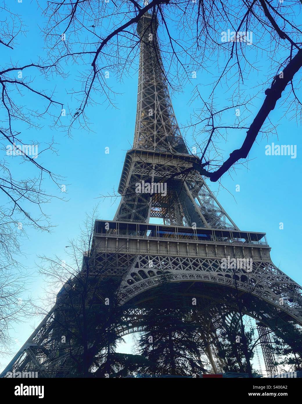 Eiffel Tower seen through the trees in Paris Stock Photo
