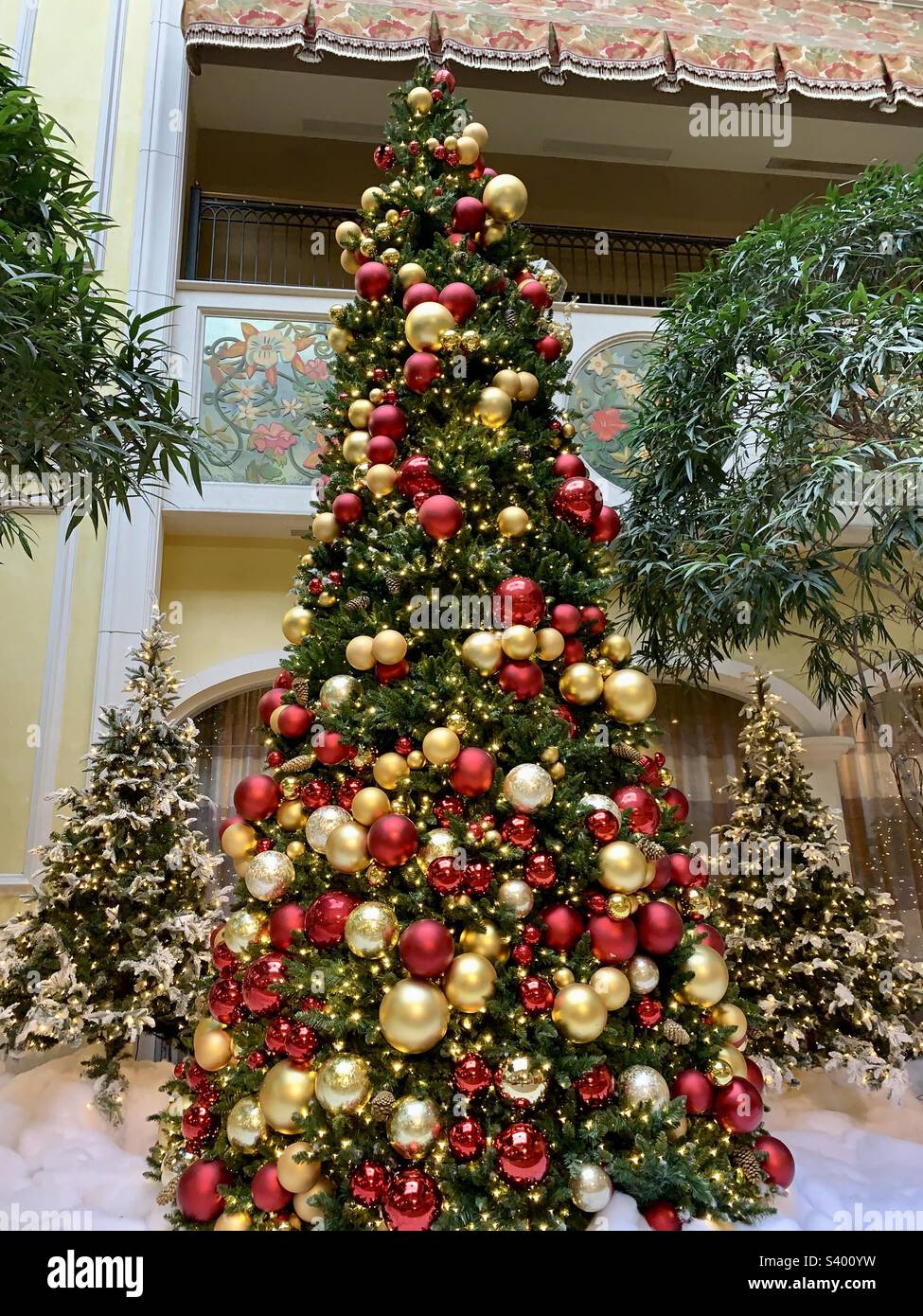 It’s the season for celebrating!! It’s Christmas time!! - Smartphone Captured Stock Image