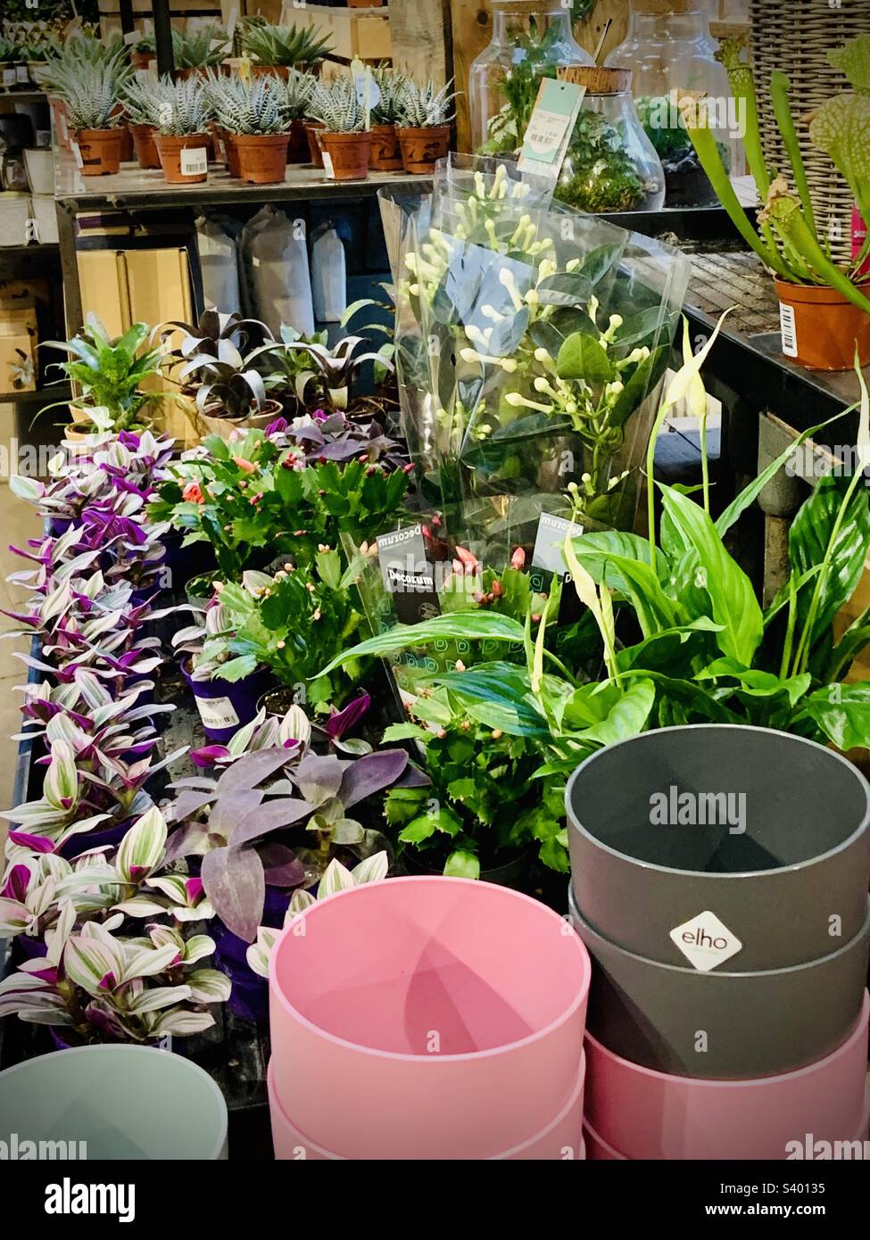 Garden centre black pots hi-res stock photography and images - Alamy