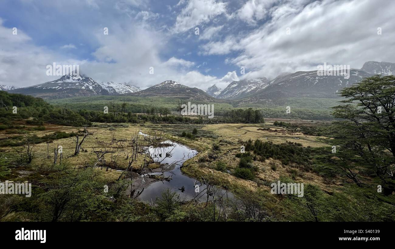 Husky Park north of Ushuaia - Smartphone Captured Stock Image