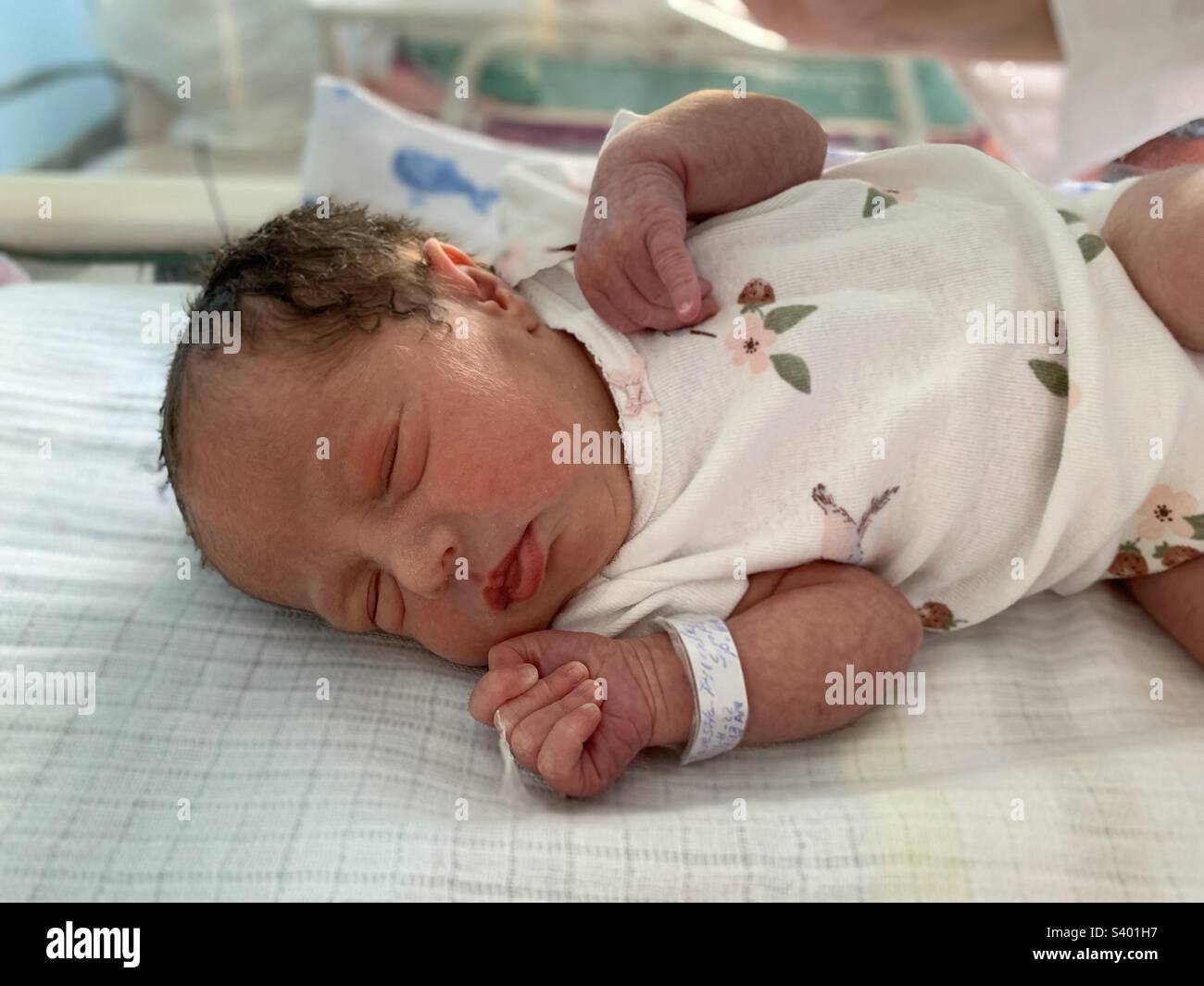 newborn preterm baby girl sleeping Stock Photo