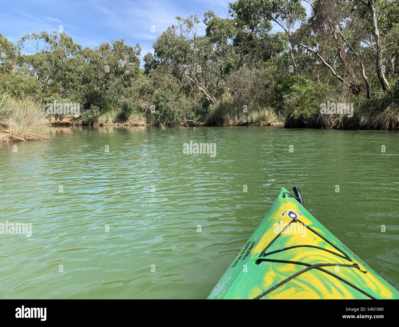 Kayaking, Anglesea, waterways, canoeing. Stock Photo