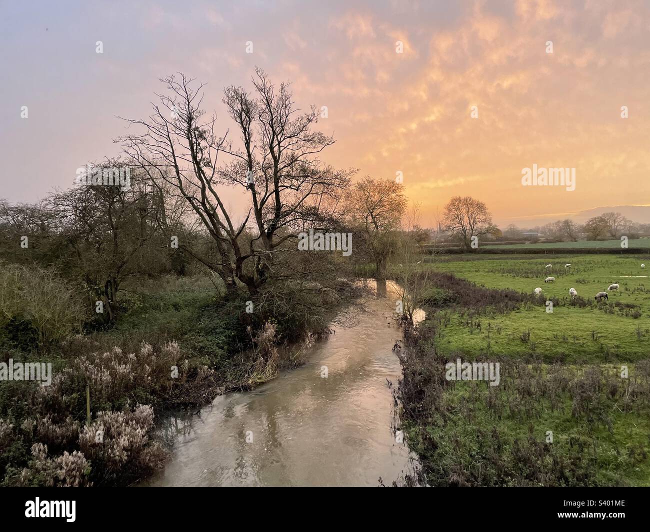 Hilton derbyshire hires stock photography and images Alamy