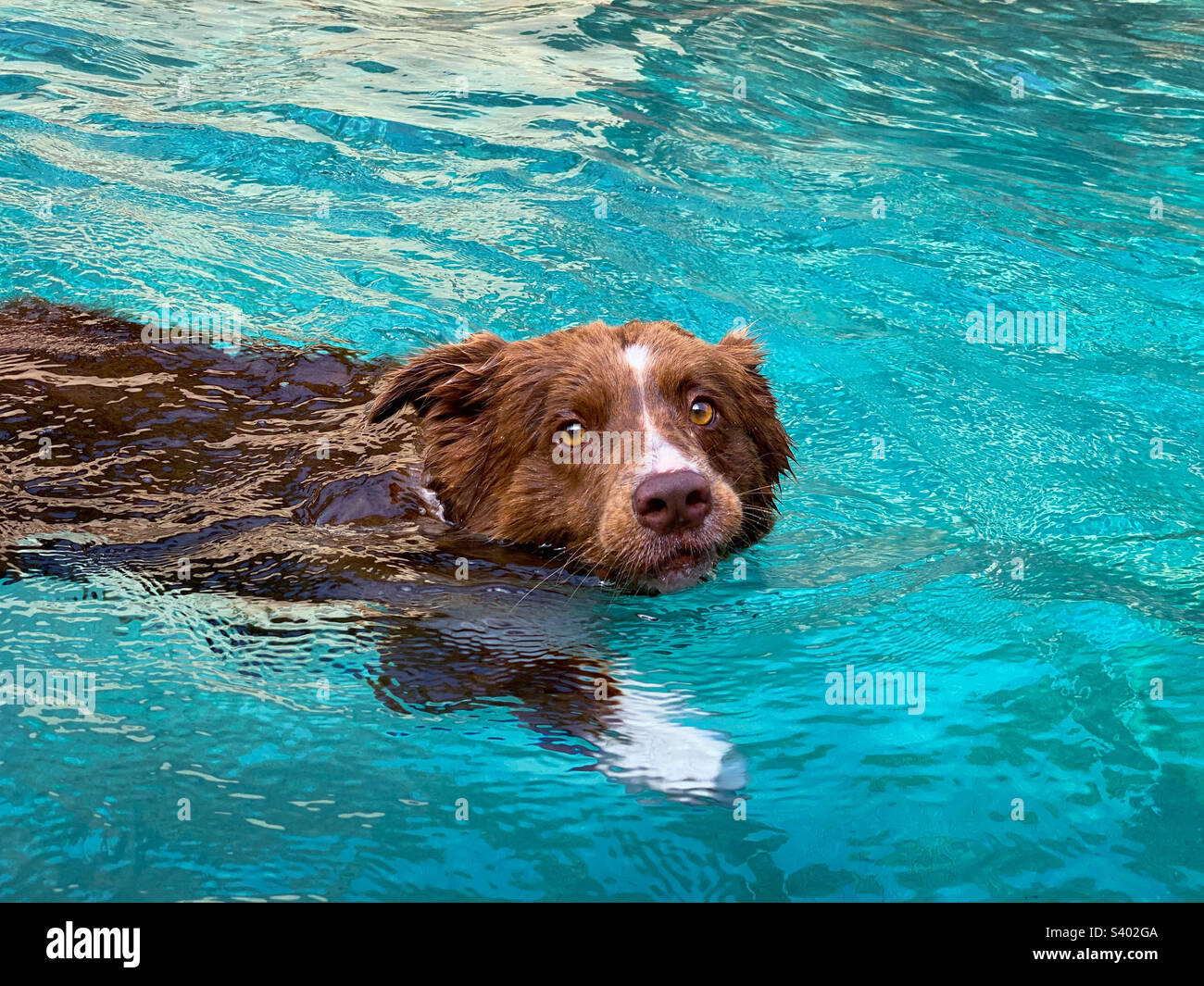 Waves swimming pool hires stock photography and images Alamy