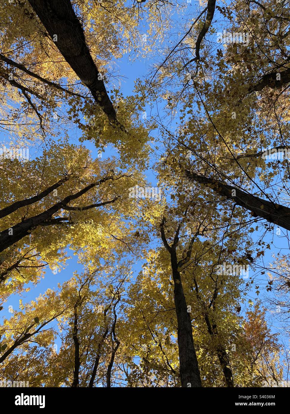 October view - Smartphone Captured Stock Image