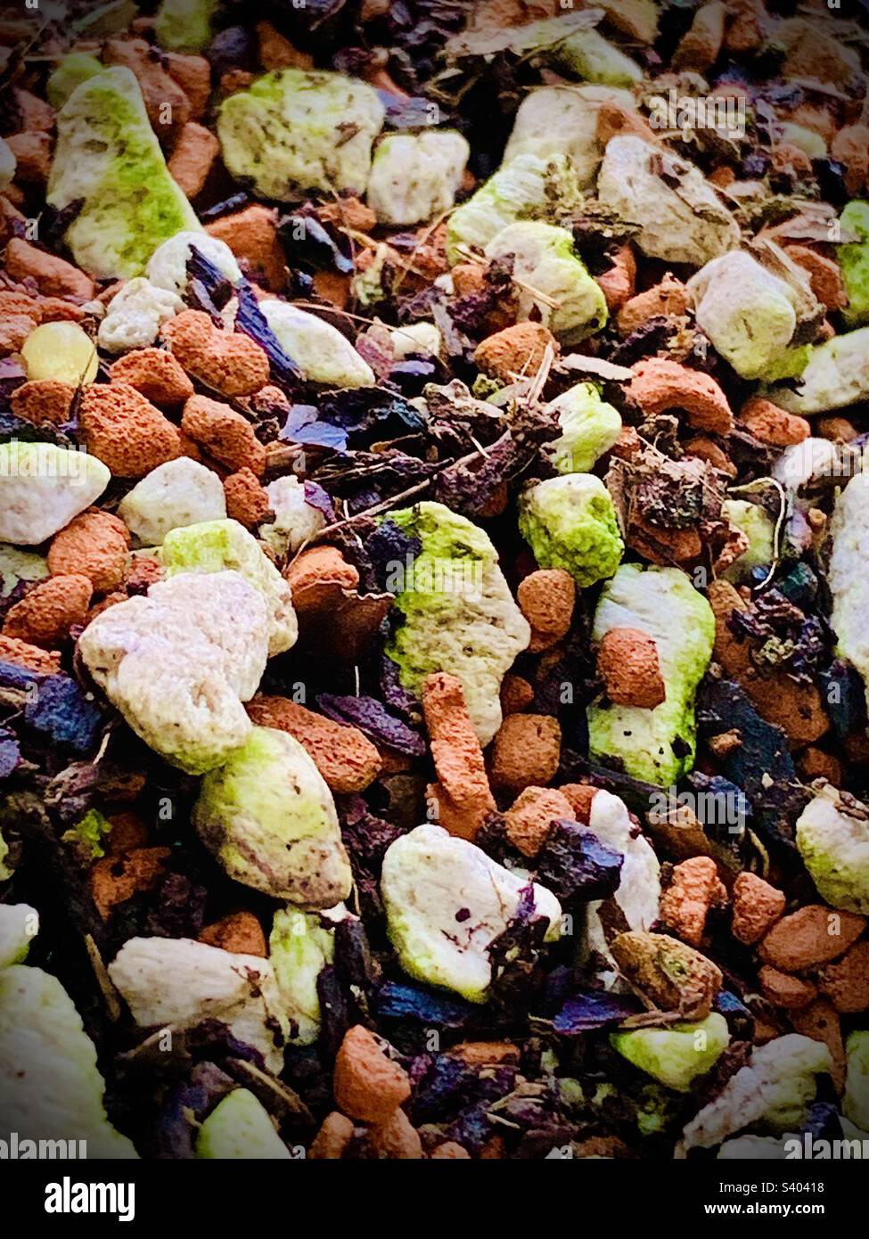 Coloured gravel for plants Stock Photo Alamy