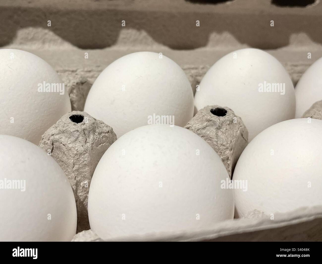 Close-up of white eggs in an egg carton - Smartphone Captured Stock Image