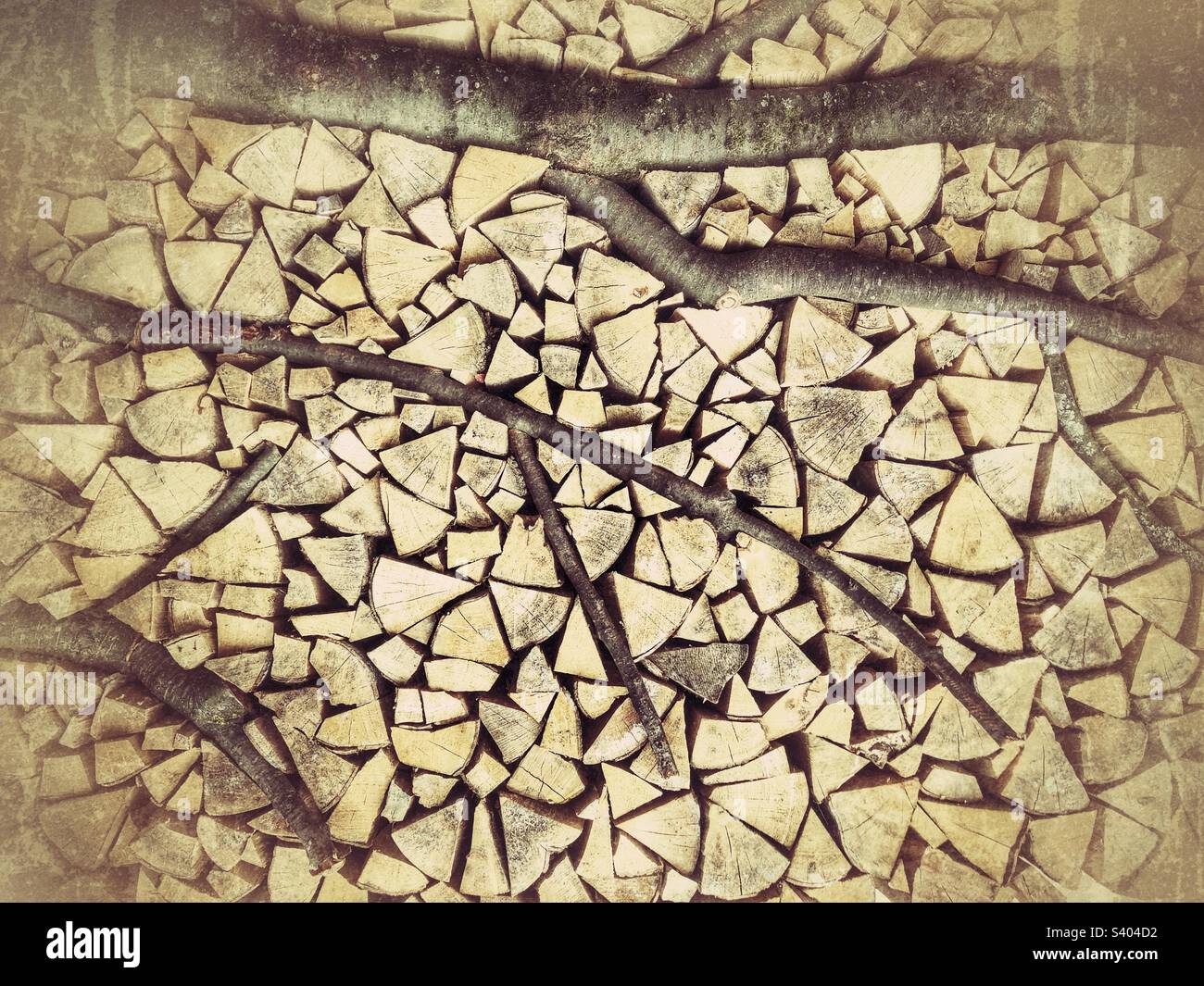 Stacked wood with tree branches - Smartphone Captured Stock Image