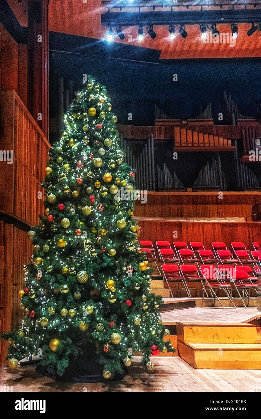 Christmas tree on the stage, organ in the background at the Royal Festival Hall, London - Smartphone Captured Stock Image