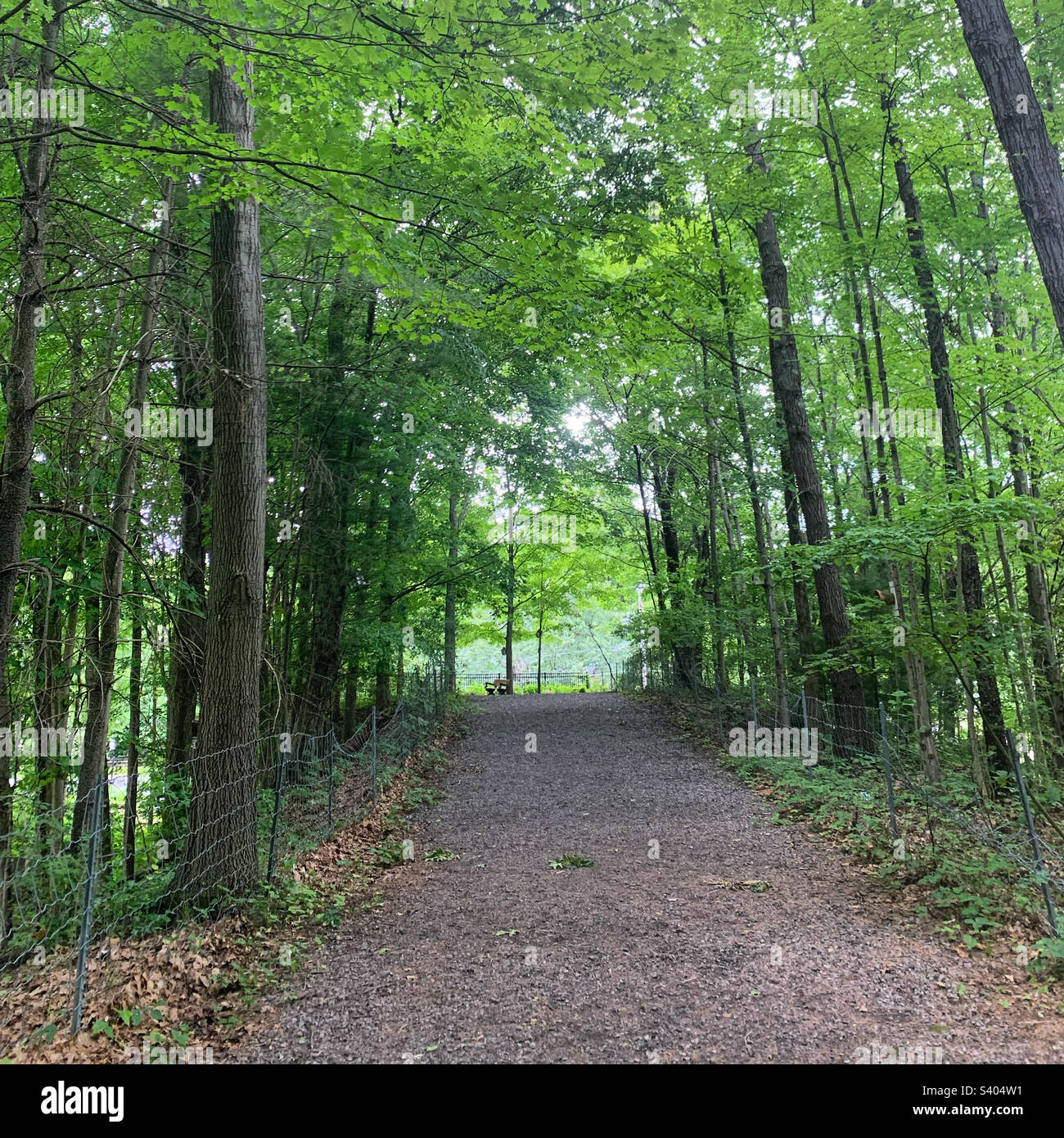 June, 2022, Jim Tedisco Old Iron Spring Fitness Trail, Ballston Spa