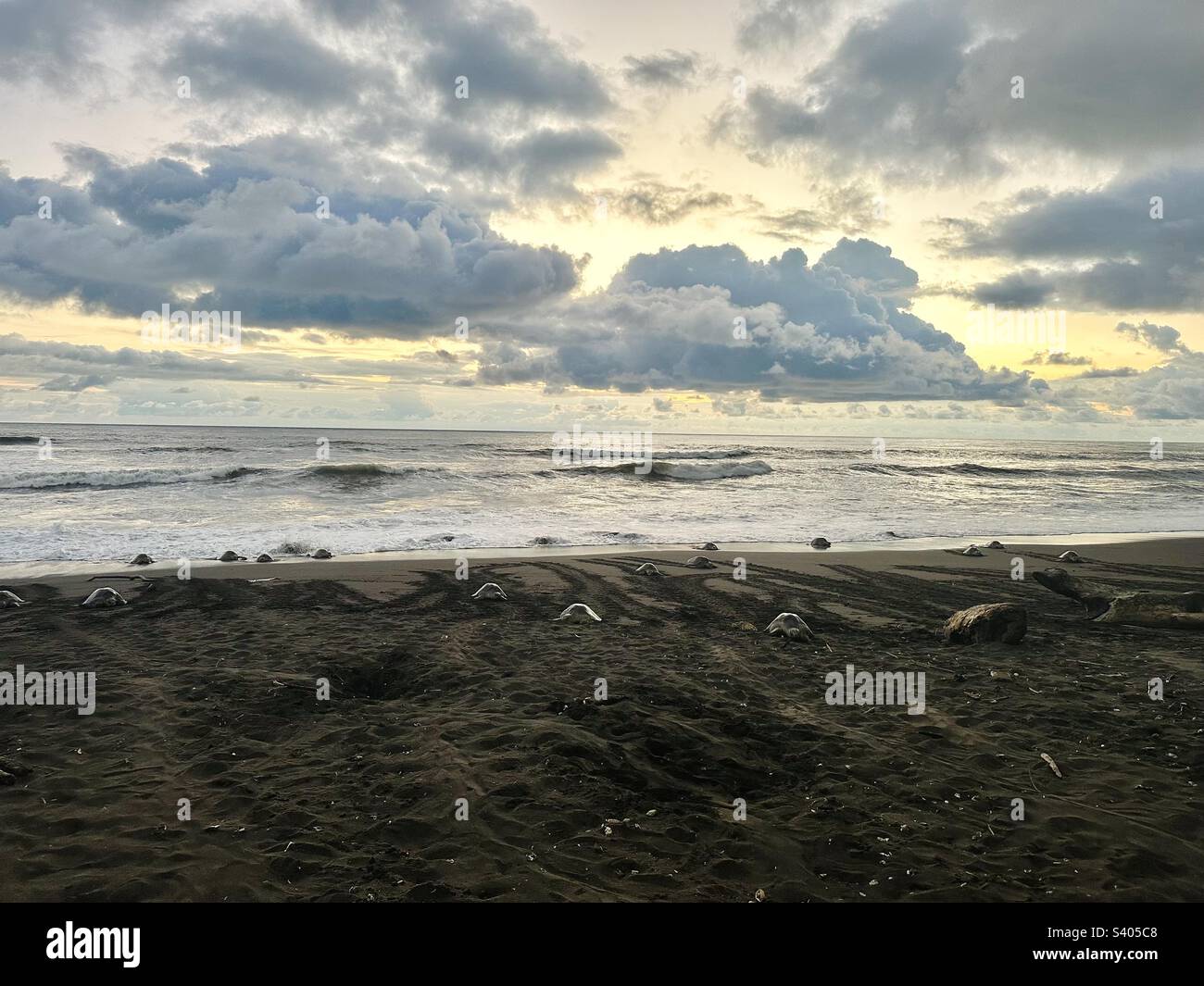 Ostional Beach Guanacaste – Où Partir À Ostional – EQIUWY