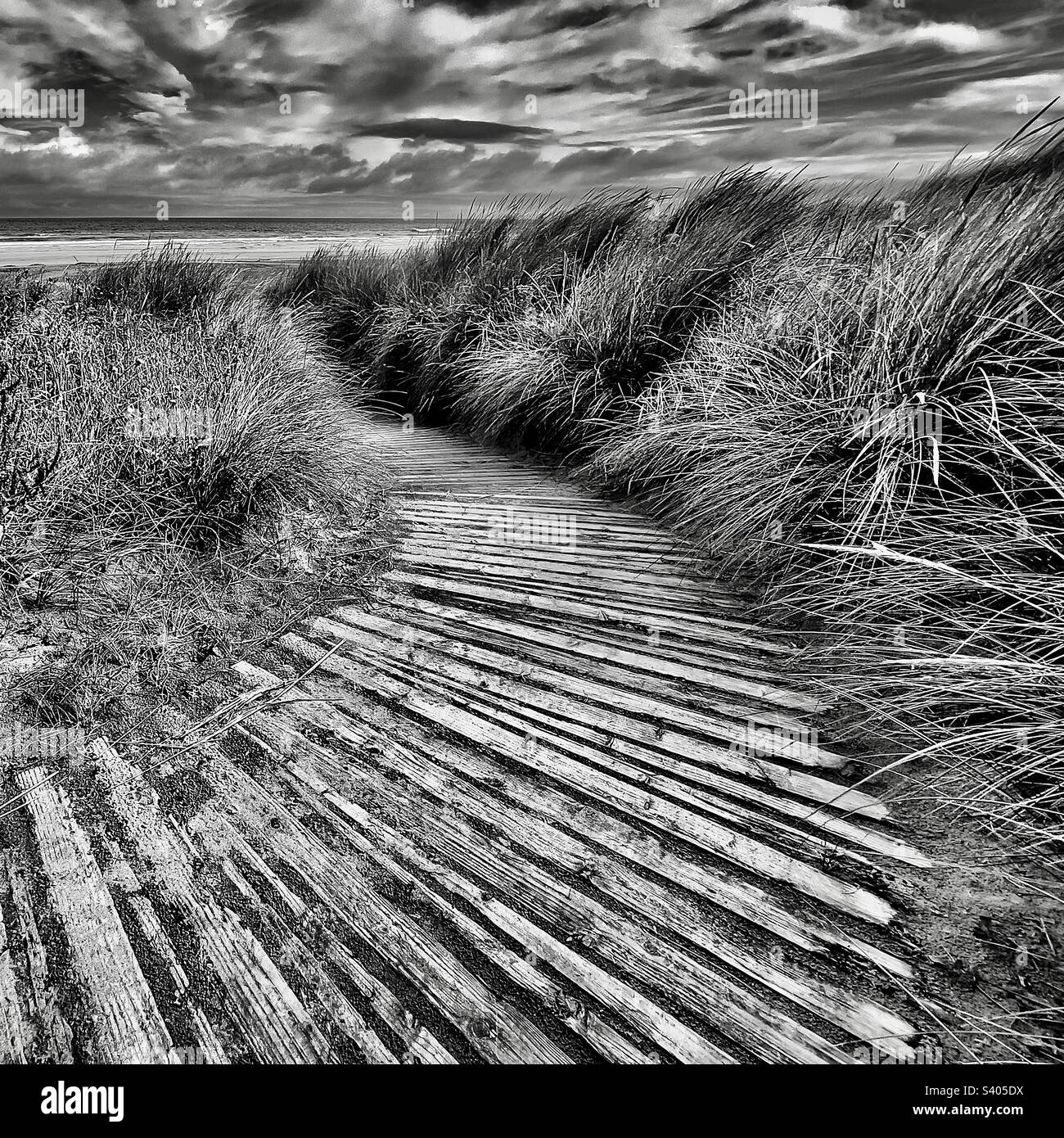 Serenity - Smartphone Captured Stock Image