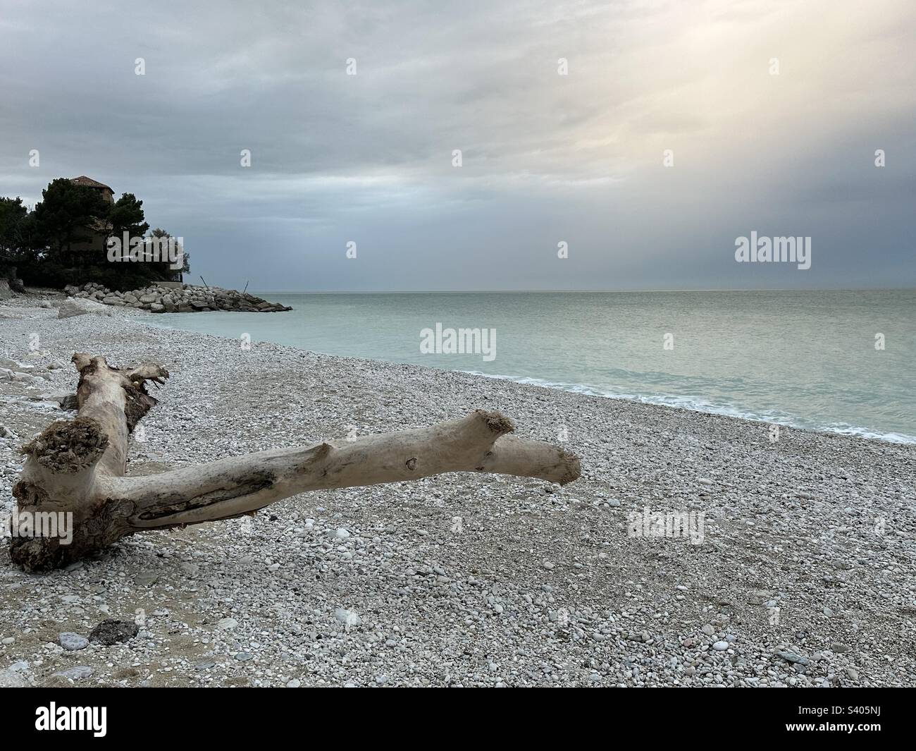Coastal landscape with a tree trunk - Smartphone Captured Stock Image