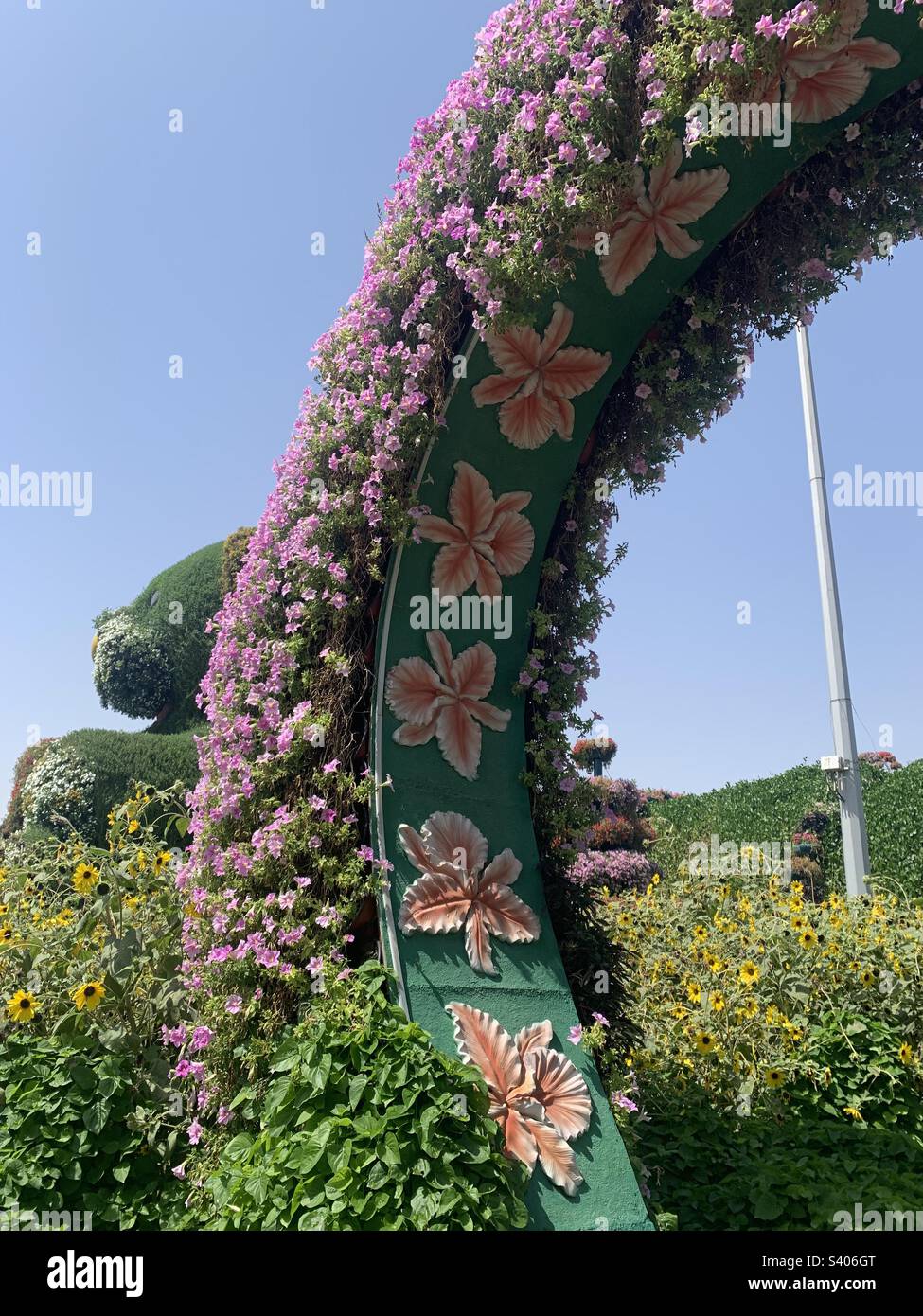 Dubai, United Arab Emirates - June 3, 2022: Floral creations on display at the Dubai Miracle Garden, the world’s largest natural flower garden - Smartphone Captured Stock Image