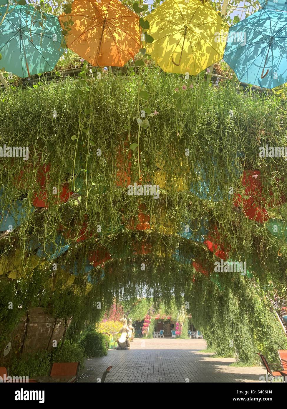 Dubai, United Arab Emirates - June 3, 2022: Floral creations on display at the Dubai Miracle Garden, the world’s largest natural flower garden - Smartphone Captured Stock Image