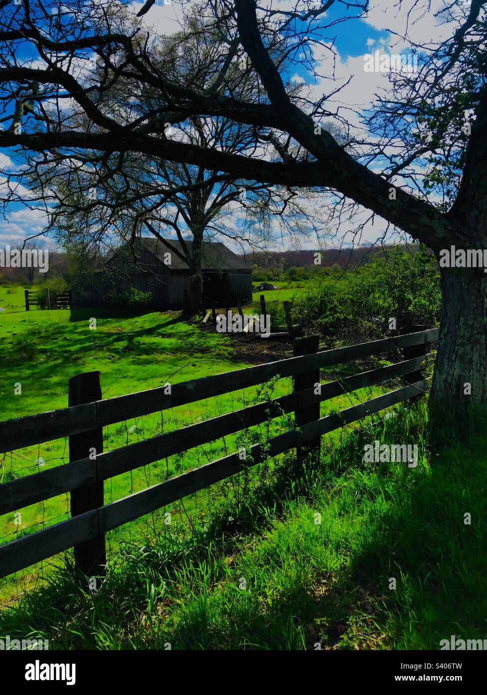 Green pastures - Smartphone Captured Stock Image