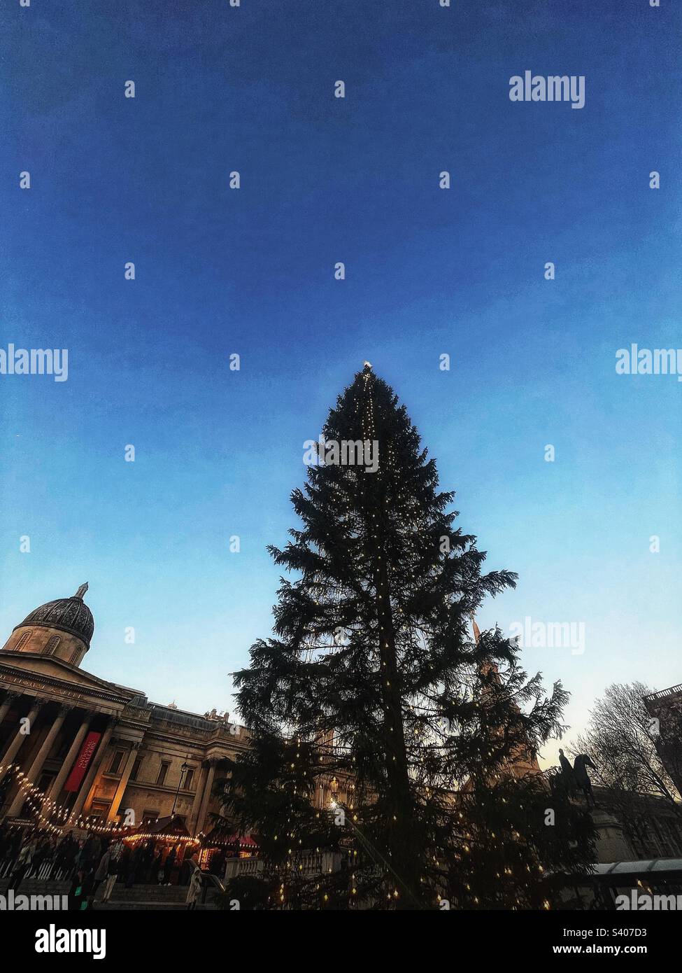 Tree is given by the City of Oslo as a token of Norwegian gratitude to the people of London for their assistance during the years 1940 - 1945 A tree has been given annually since 1947 at Christmastime - Smartphone Captured Stock Image