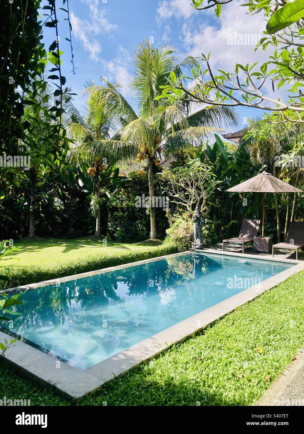 Pool at a villa in Ubud in Bali with Jungle background - Smartphone Captured Stock Image