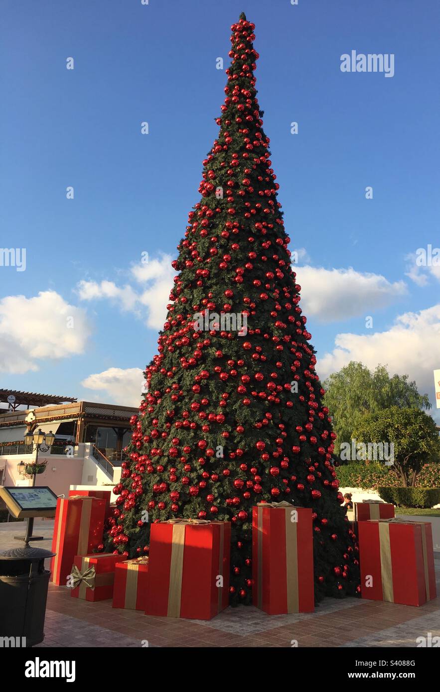Just one of the beautiful Christmas trees in Athens! Happy Holidays