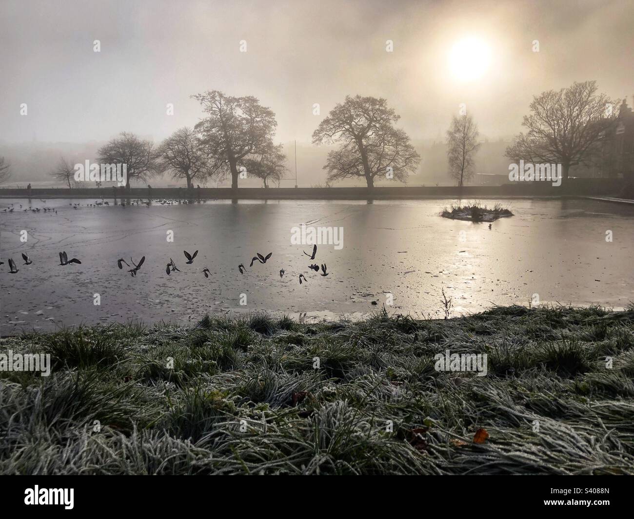 Edinburgh, Scotland, UK. 12th Dec 2022.  UK Weather: Freezing Cold and clear Snowy and afternoon fog conditions at Inverleith Park.  Credit: Craig Brown - Smartphone Captured Stock Image