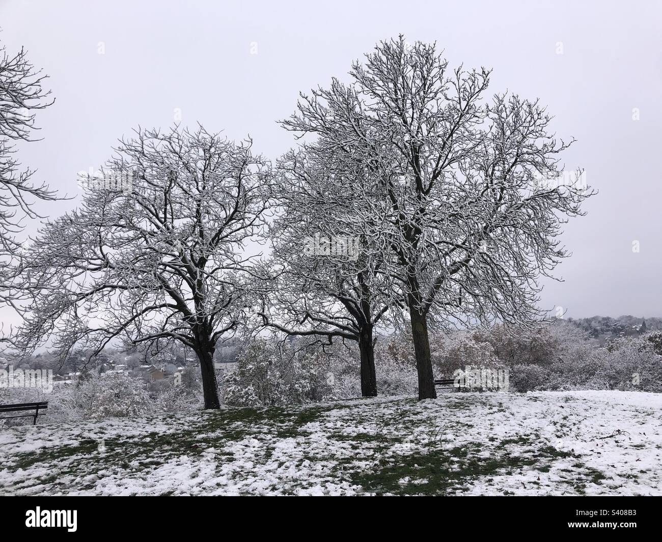 Snowy hill on a winter day in London - Smartphone Captured Stock Image