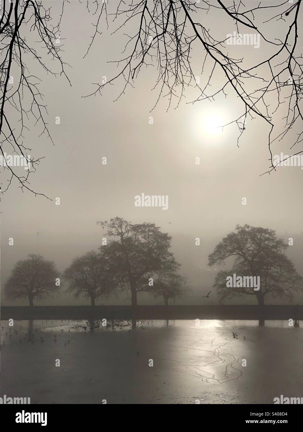 Freezing fog and a Frozen pond in Inverleith park, Edinburgh - Smartphone Captured Stock Image
