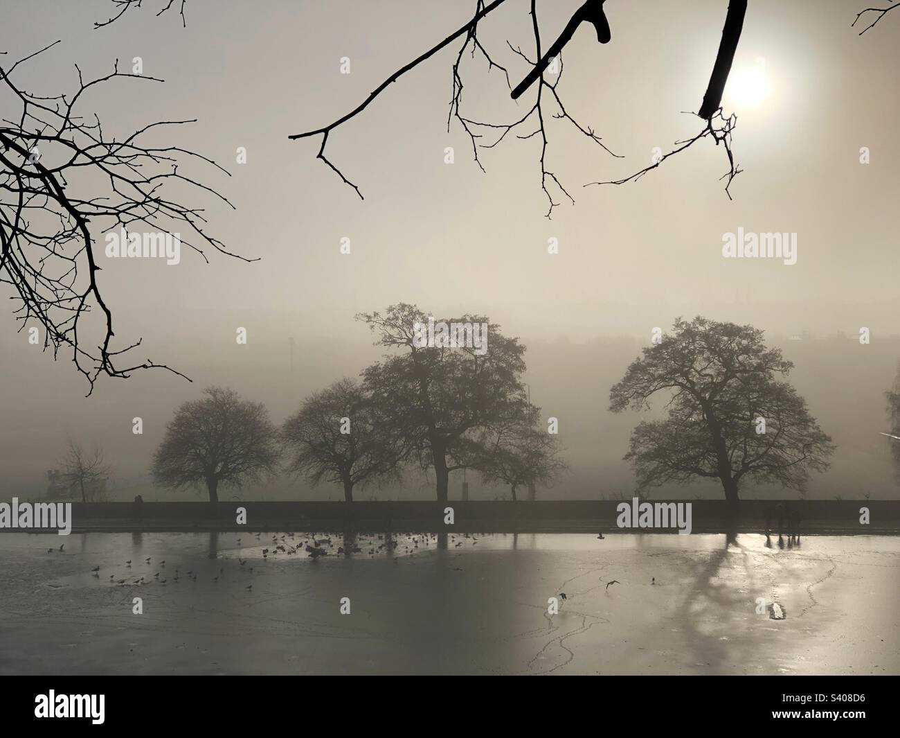Freezing fog and a Frozen pond in Inverleith park, Edinburgh - Smartphone Captured Stock Image