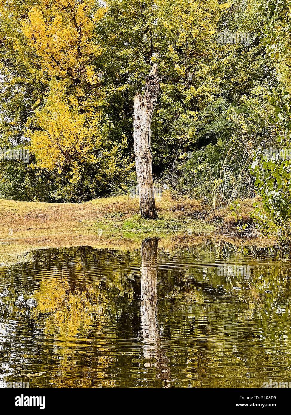 Fall foliage in the rain hi-res stock photography and images - Alamy