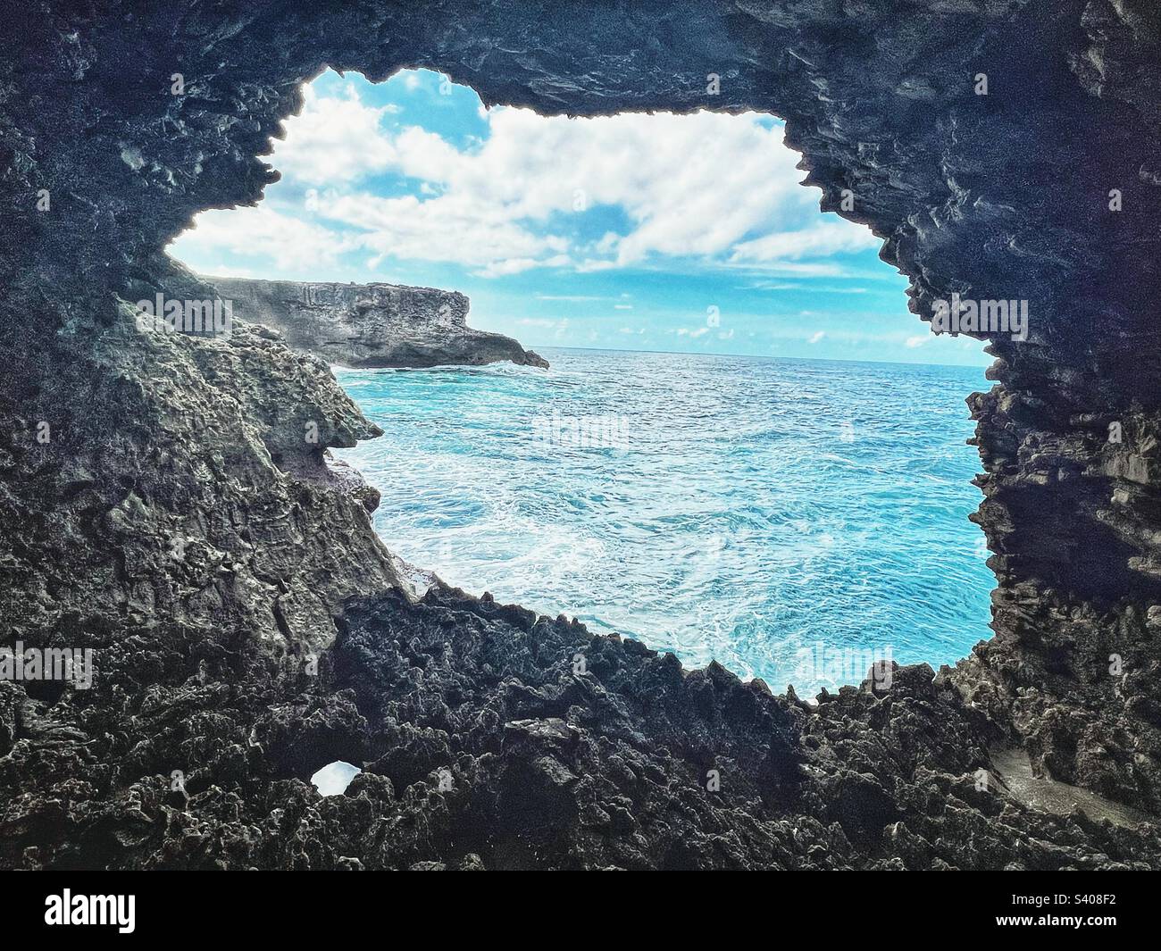 Animal Flower Cave Barbados Stock Photo Alamy