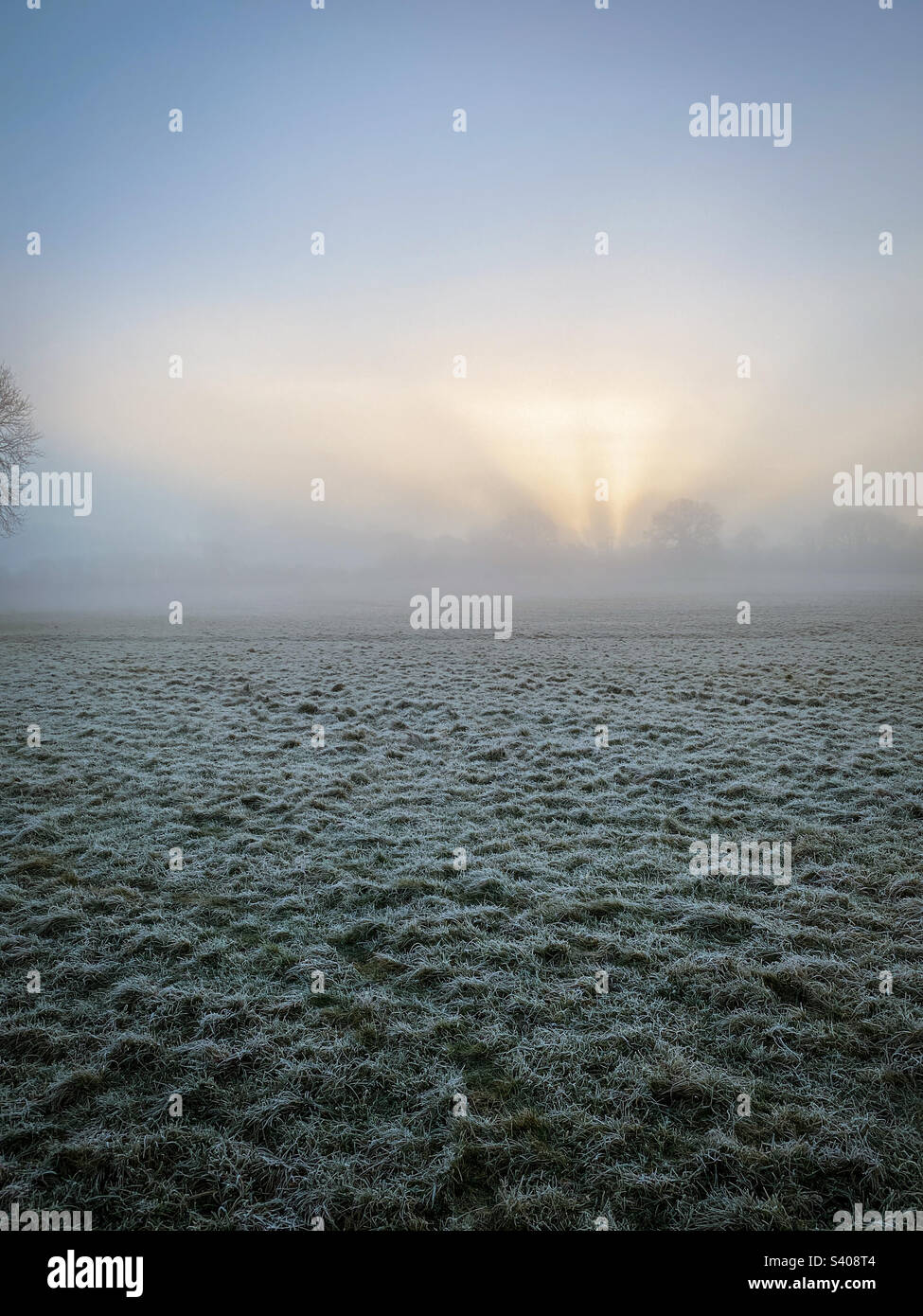 Weak sun tries to break through low winter mist over frosty fields in rural Gloucestershire, UK - Smartphone Captured Stock Image
