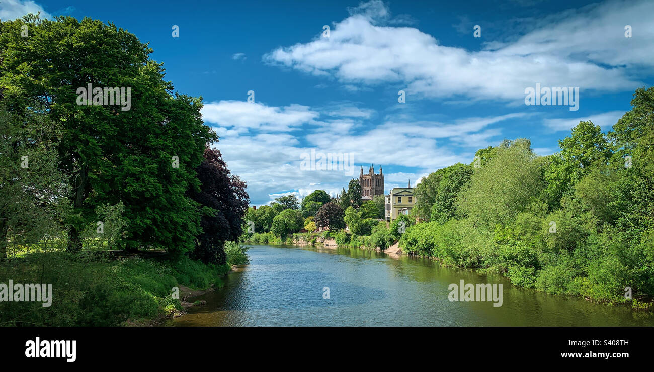 Looking across the River Wye to Hereford Cathedral on a beautiful summer day in Hereford, Herefordshire, UK Stock Photo