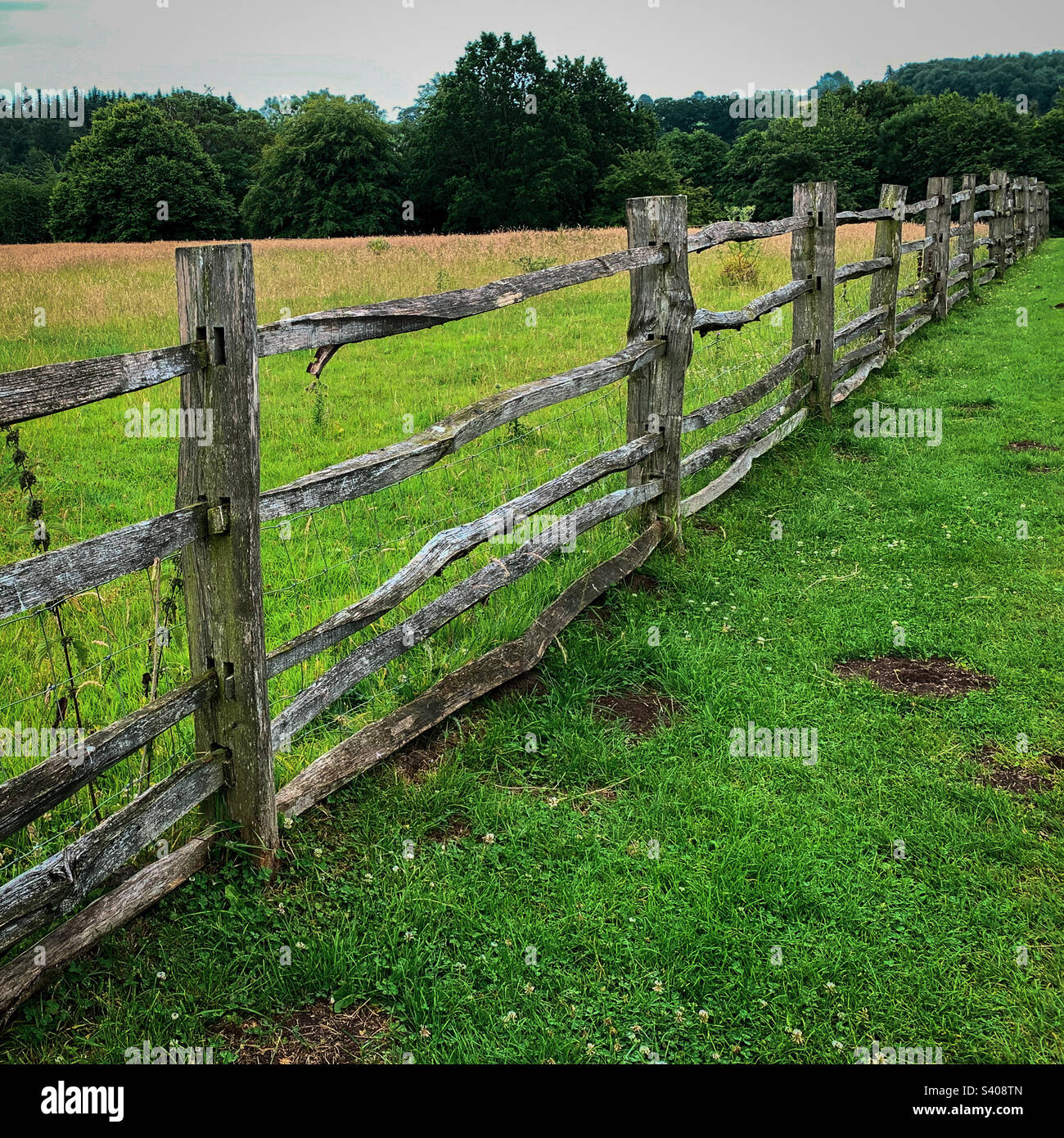 A stretch of rustic post and rail fencing. A mobile phone photo with some phone or tablet post processing. - Smartphone Captured Stock Image
