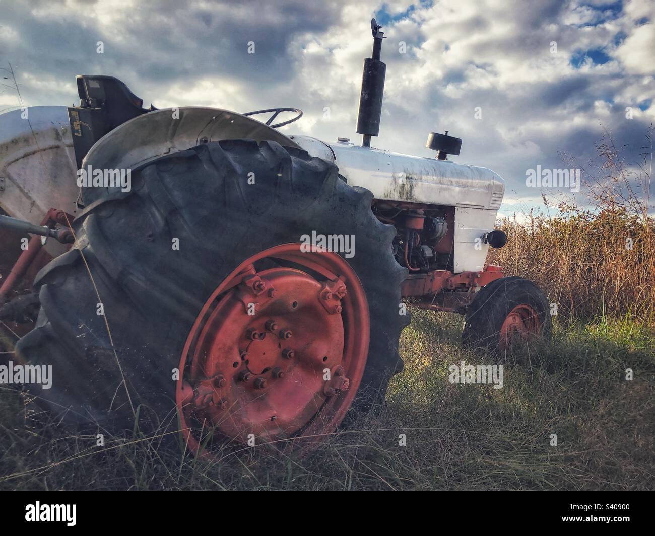 Vintage orange and white tractor in late afternoon sun - Smartphone Captured Stock Image